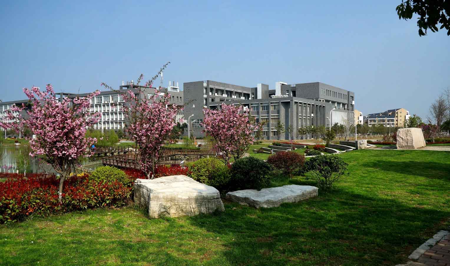 中裕饮片 中裕饮片